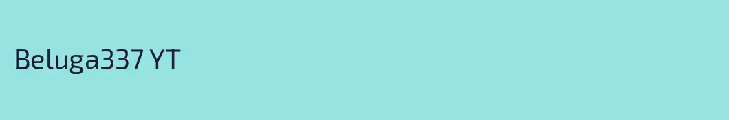 Beluga337 YT